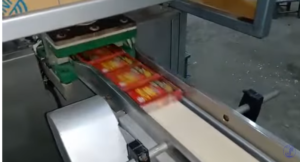 Read more about the article Automatic Playing Card Packaging Solution Manufacturers in Mumbai India